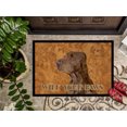 thumbnail image 3 of Carolines Treasures SS4879MAT Tapis Intérieur Ou Extérieur 18 X 27 Po. Field Spaniel Essuyez Vos Pattes, 3 of 4