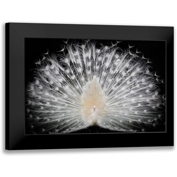 Liddi, Pino 14x11 Black Modern Framed Museum Art Print Titled - Black And White,