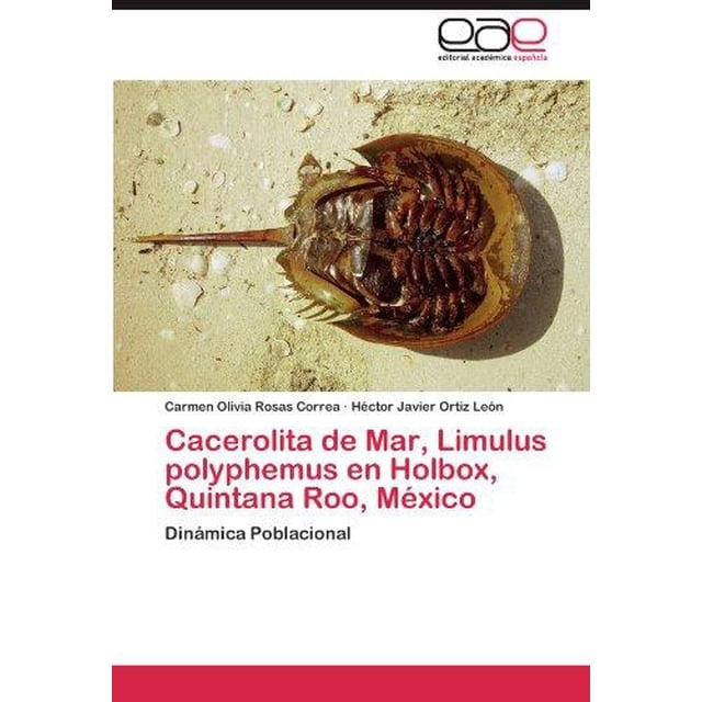 Cacerolita de Mar, Limulus Polyphème en Holbox, Quintana Roo, m Xico