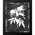 thumbnail image 2 of Robinson, Carol 15x18 Black Modern Framed Museum Art Print Titled - Black Botanical I, 2 of 5
