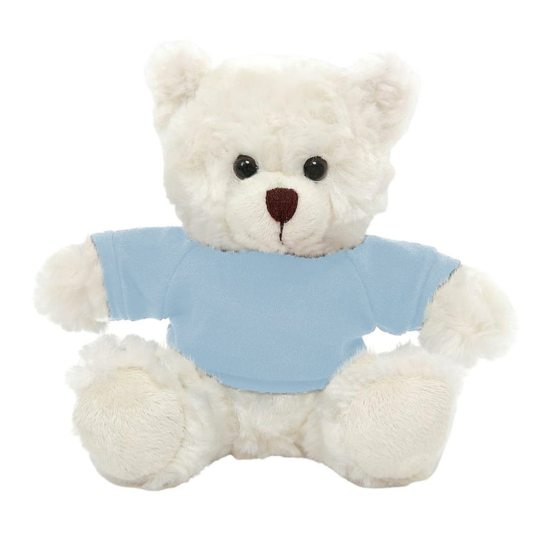 Beautiful blue eyed teddy bear