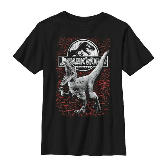 Boy's Jurassic World Raptor Lava Logo Graphic Tee Black Medium