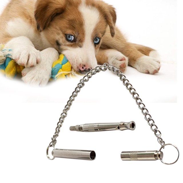 unbranded Silbato Ultrasónico Para Entrenamiento Perros Con Cuerda Y Plata