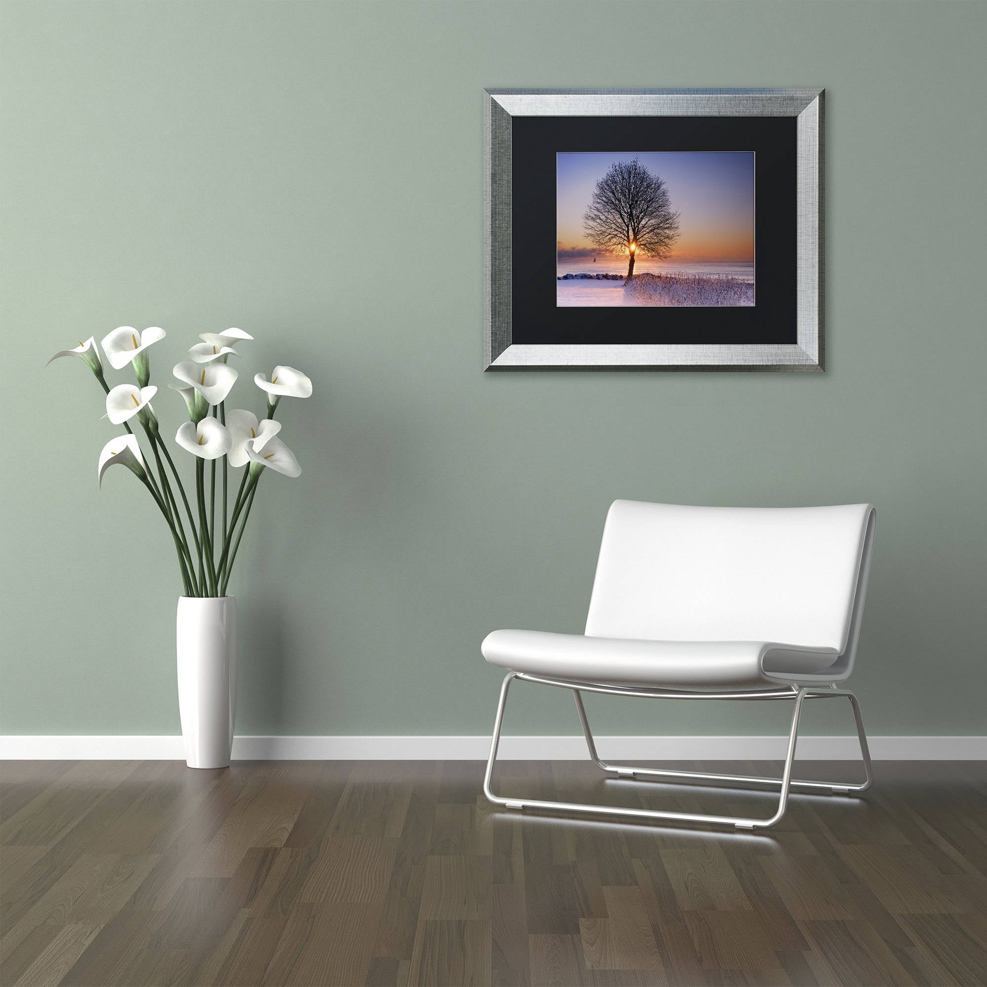 Trademark Fine Art "Tree Burst" Canvas Art by Michael Blanchette Photography Black Matte, Silver Frame