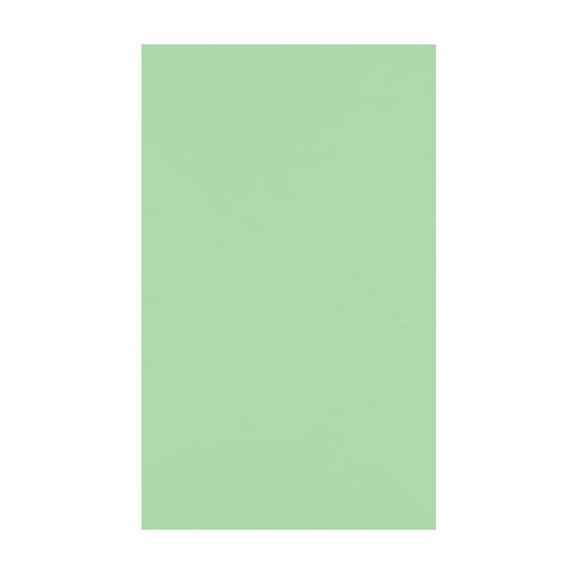 JAM Paper 11" x 17" Multipurpose Paper 60 lbs. Pastel Green 50/Pack (1117-P-67-50)