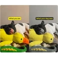 thumbnail image 6 of Biovet Md Duck Toy,Calming Duck Toy for Dogs,No-Stuffing Quacking Design,Chew-Resistant & Machine-Washable,Bright Color Fits Dog Vision, 6 of 7