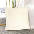 thumbnail image 2 of PiccoCasa 2Pcs Viscose Velvet Soft Decorative Throw Pillowcases 24"x24", Eco, 2 of 7