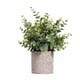 thumbnail image 1 of Maceta de flores falsa Mesa interior Mini Bonsai artificial Decoración del hogar Flor en maceta de simulación Methold HA8899-00B, 1 of 6