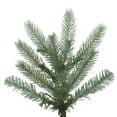thumbnail image 2 of Vickerman Artificial Christmas Tree 5.5' x 49'' Colorado Blue Spruce 550 LED Warm White Lights, 2 of 2