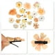 thumbnail image 4 of 20 piezas de clips para el cabello con flores falsas, accesorios para el cabello de flores para mujeres y niñas, color beige, 4 of 7
