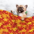 thumbnail image 3 of Disketp Vintage maple leaves autumn Dog Blanket/Bed Cover for Dogs and Cats,Puppy Essentials-Small, 3 of 8