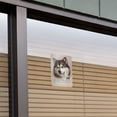 thumbnail image 3 of Alaskan Malamute Dog Breed Home Business Office Sign, 3 of 4