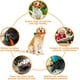 thumbnail image 3 of 2 piezas de juguetes para masticar perros de zanahoria, juguete para perros de cuerda trenzada, juguete para perros de zanahoria, juguetes masticables de algodón duraderos para cachorros pequeños y medianos JM, 3 of 5