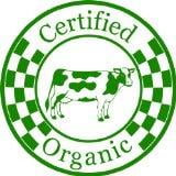 Wall Design Pieces Organic Living Room