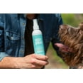 thumbnail image 4 of Breedwise Pet Provisions Dog Deodorizer Spray, Sweet Pea and Vanilla Scent, 8 fl oz Bottle, 4 of 19