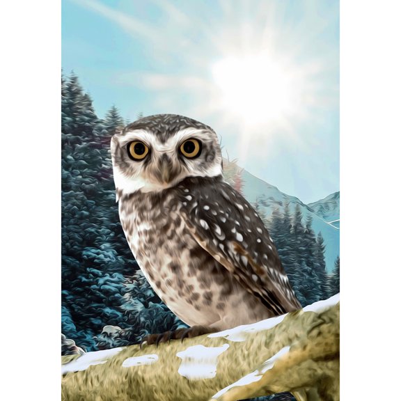 America Forever Winter Owl Garden Flag Double Sided Vertical Decorative 12.5 x 18 inches for Outdoor, Yard, Porch Happy Holiday Snowfall Celebration Snow Mountain Décor