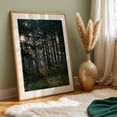 thumbnail image 6 of Untitled - Portland Oregon Photography Forest Nature Woodland Woods Scenic Landscape Mystical Unframed Wall Art Print 12 x 18 inches, 6 of 60