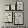 thumbnail image 4 of Wispy Botanical I - Premium Framed Canvas 2 Piece Set - Ready to Hang, 4 of 7