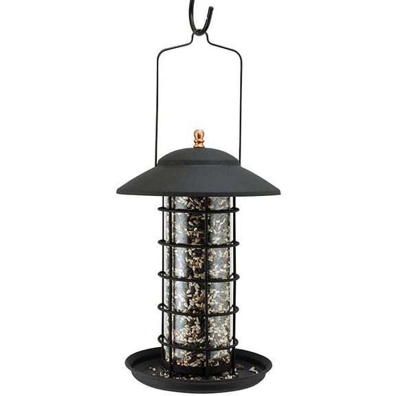 Woodlink Metal & Glass Lantern Bird Feeder, Matte Black