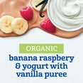 thumbnail image 3 of Gerber Organic for Toddler, Yogurt Toddler Food, Banana Raspberry Vanilla, 3.5 oz Pouch, 3 of 16