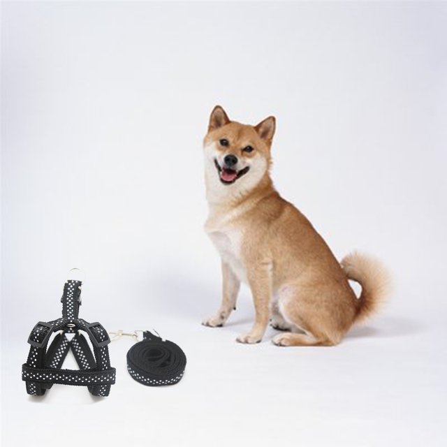 Flmtop Pet Strap Comfortable Adjustable Bright Color Pet Dog Safety Harness Leash Rope for Outdoor Red