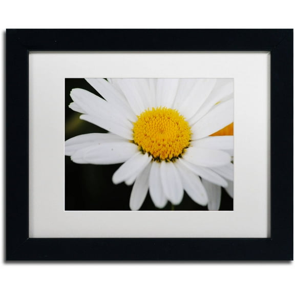 Trademark Fine Art "Sweet Splendor" Canvas Art by Monica Mize, White Matte, Black Frame