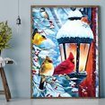 thumbnail image 2 of Cuadros Decorativos 5D Rhinestone Snowy Bird Art Full Round Drill Diamond Painting Set Decoración para el hogar JShteea Nuevos Originales, 2 of 9