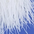 thumbnail image 2 of Feather Dyed Fringe for Home Hat Decor DIY Craft Accessory White, 2 of 8