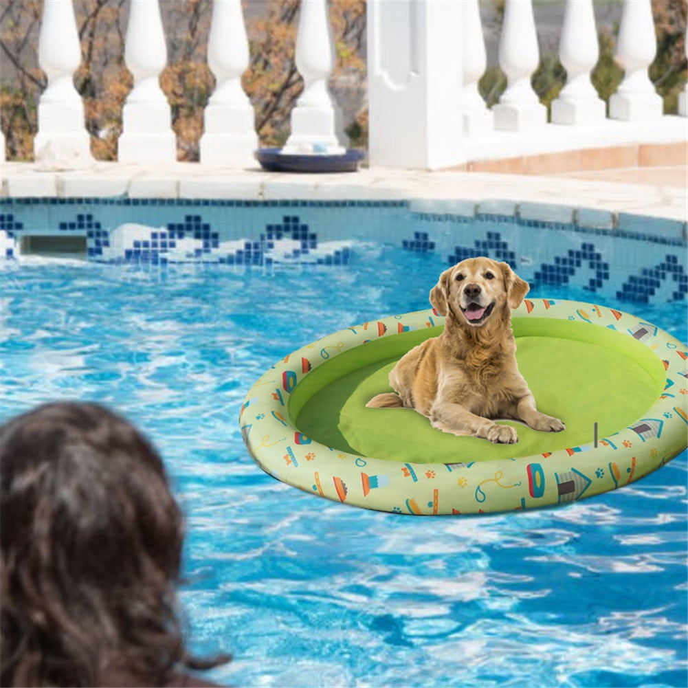 dog swim float