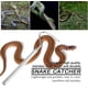 thumbnail image 3 of Gancho de captura de reptil telescópico de acero inoxidable negro, 11 Feliz Sencillez, 3 of 5