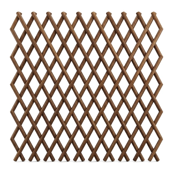 Outdoor Plant Support Trellis – Willow Expandable Lattice Fence Panel for Climbing Plants,Lattice Fence Willow Expandable Plant ,Open Screen Fencing