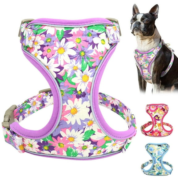 Pet Artist Floral Mesh Pet Dog Harness Safety Reflective Walking Vest for Small Medium Dogs French Bulldog