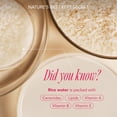 thumbnail image 2 of Set de cuidado de la piel The Face Shop Rice Water Bright con ceramida, 2 of 8