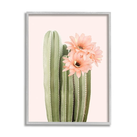 Stupell Industries Pink Flower on Cactus Botanical & Floral Painting Gray Framed Art Print Wall Art, 24 x 30