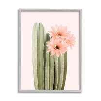 Stupell Industries Pink Flower on Cactus Botanical & Floral Painting Gray Framed Art Print Wall Art, 24 x 30