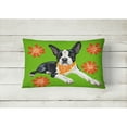 thumbnail image 2 of Carolines Treasures AMB1385PW1216 Cosmo Cutie Boston Terrier Fabric Decorative Pillow 12H x16W multicolor, 2 of 3