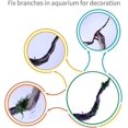thumbnail image 4 of KAIYANG Paquete de 20 ventosas con 20 cremalleras ajustables para acuario Aquarium Binding Moss, 4 of 4