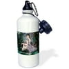 3dRose An mythical elf creature of the forest who plays a haunting melody on an enchanted flute, Sports Water Bottle, 21oz