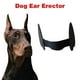 thumbnail image 3 of 2x Orejas de Perro Duraderas, Soporte de Pie, Herramientas para Orejas, Pegatina para Orejas, Cuidado de Orejas, Alisado de Orejas, Mascota para Perro, 3 of 8