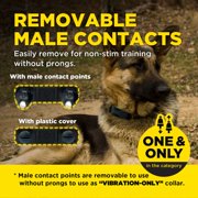 Dogtra ARC-X Remote Training Collar – ¾-Mile Range, for Dogs 15 lbs+, Slim Design, IPX9K Waterproof, 100 Stimulation Levels, Vibration, Tone, Rechargeable