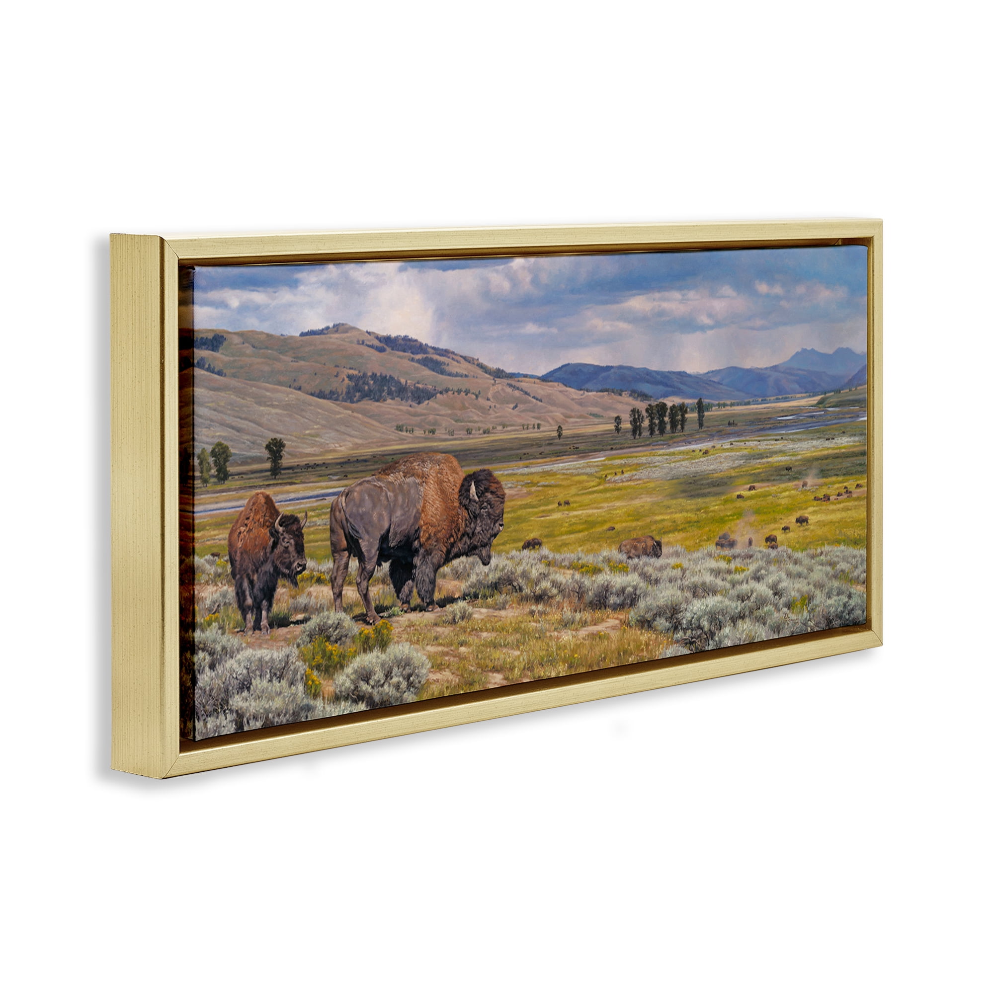 Stupell Industries Roaming Southwestern Bison Landscape Painting Gold Floater Framed Art Print Wall Art, 25 x 11
