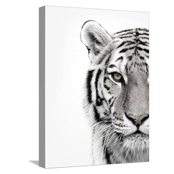 Art.com White Tiger Stretched Canvas Print Wall Art by Design Fabrikken, 12" x 16"