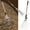 As show-Free Size/, variant on FHBVT Adjustable Garden Leaf Rake Retractable Handle 9-Teeth Design Rustproof Lightweight Structure Multi-Functional for Lawn Leaf Cleaning Garden Weeding Camping Outdoor Gardening Tool