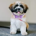 thumbnail image 6 of Mumup Bow Tie Rhinestone Dog Collar Cute Sparkling Crystal Diamond Puppy Kitten Pet Cat Collar for Small Dogs Boys Girls, 6 of 6