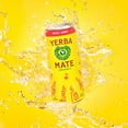thumbnail image 4 of Guayakí Yerba Mate, Organic Energy Drink Alternative, Revel Berry, 150mg Natural Plant Based Caffeine, Better for You Energy & Focus, No Jitters or Crash, 15.5 Oz (Pack of 12), 4 of 5
