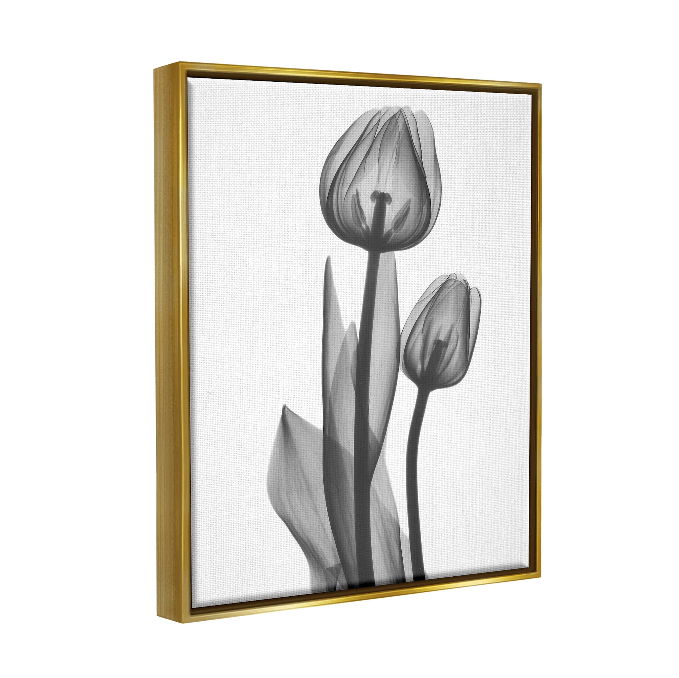 Stupell Industries Contemporary Transparent Tulip Graphic Art Metallic Gold Floating Framed Canvas Print Wall Art, Design by Albert Koetsier