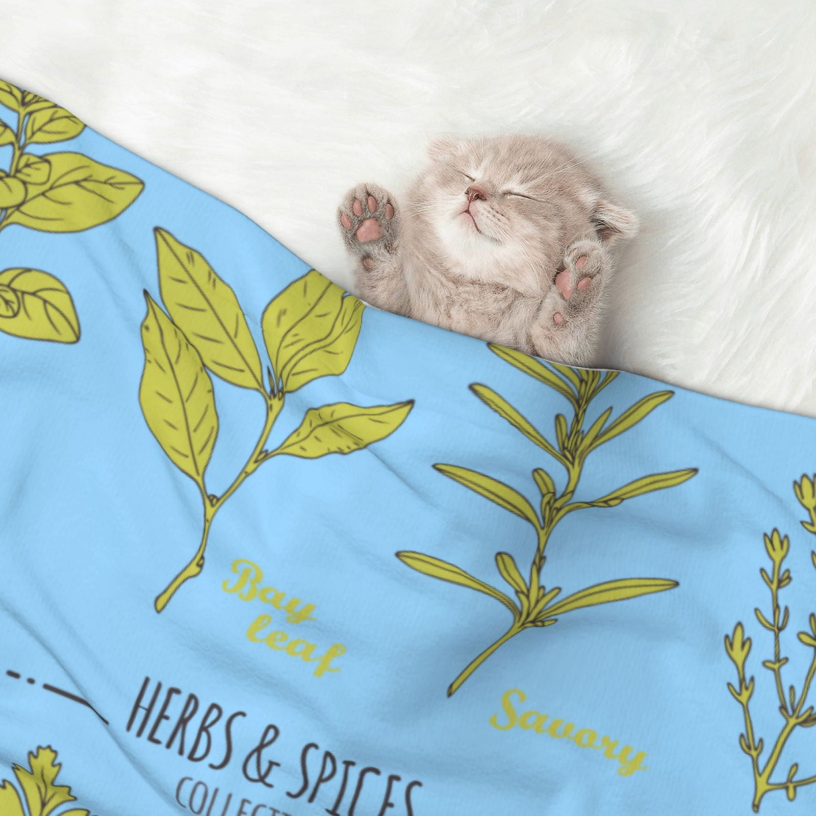 Naloa Herbs and Spices Dog Blanket, 3 Sizes Cat Blanket for Indoor Cats Large Medium Small Dog Gifts-Medium