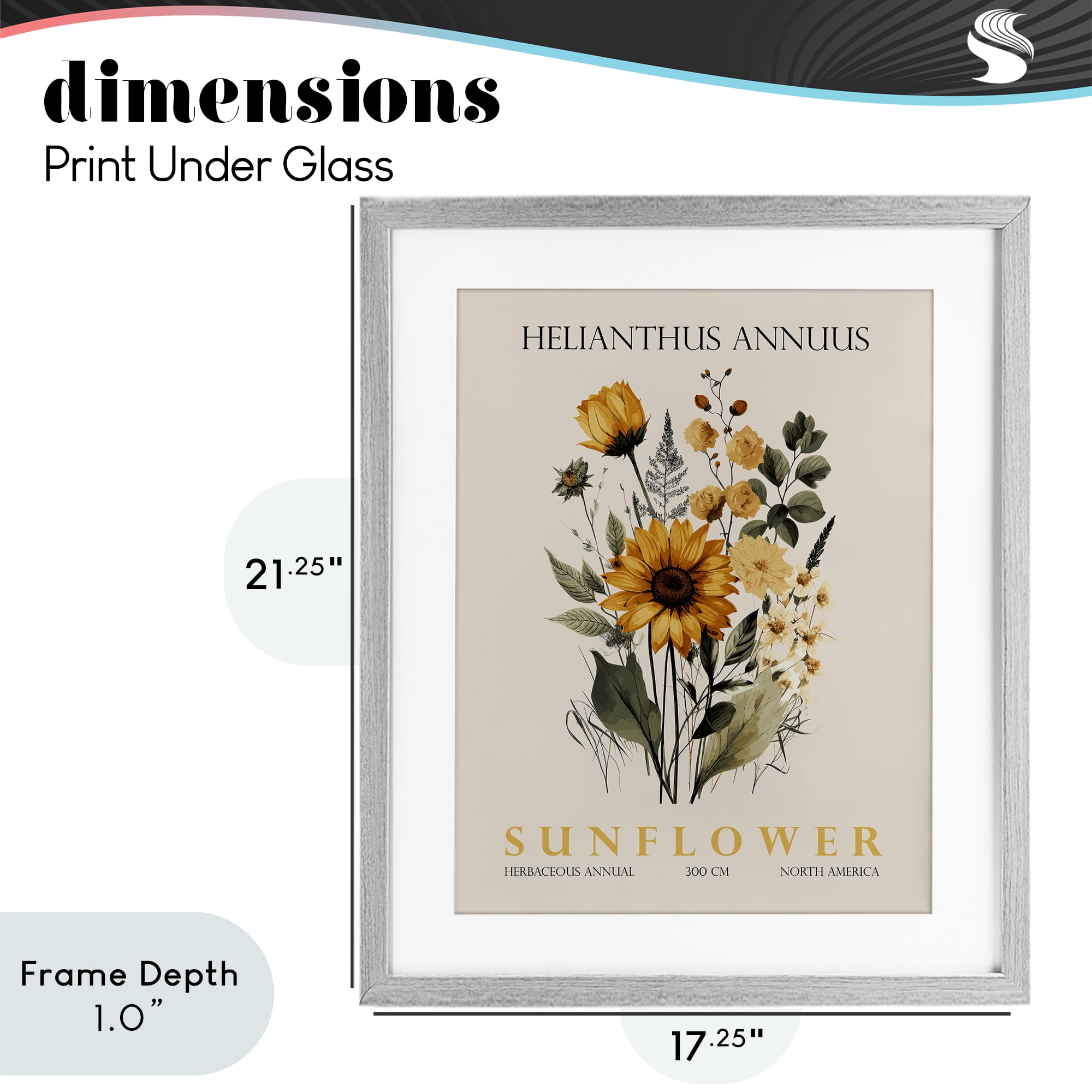Stupell Industries Natural Sunflower Bundle Gray Framed Print Under Glass, design by Christopher Giampietro