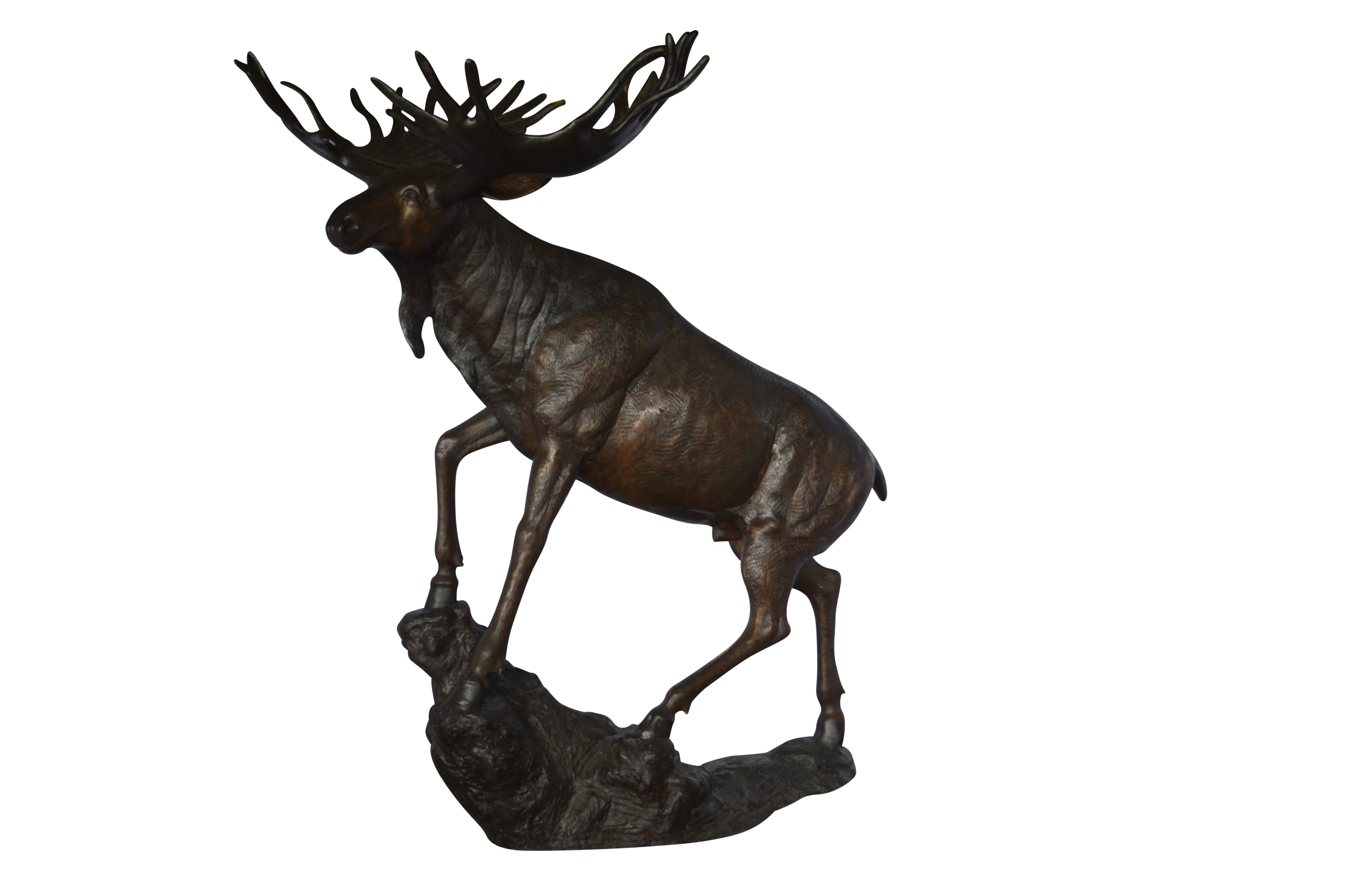 Moose - Life Size Bronze Statue -  Size: 62"L x 48"W x 80"H.