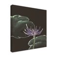 thumbnail image 2 of Trademark Fine Art 'Lily on Black II' Canvas Art by Chris Paschke, 2 of 3